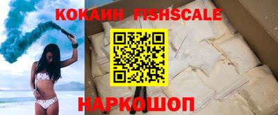 стаф Кохма