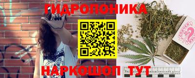 стаф Кохма