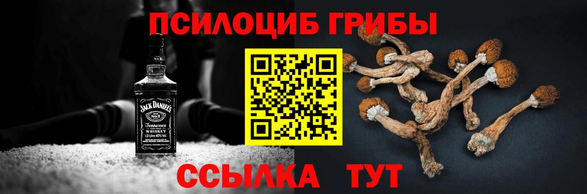 Псилоцибиновые грибы Cubensis Губаха